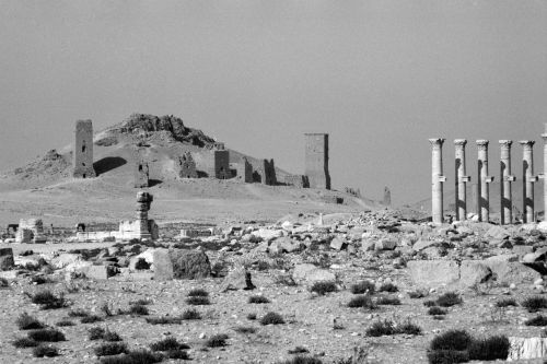 Palmyra, Tal der Gräber: Westnekropole (al-Maqaber), Nordosthang. Aufnahme: Bildarchiv Foto Marburg / Jan Gloc, 1985 Palmyra, Tal der Gräber: Westnekropole (al-Maqaber), Nordosthang. Aufnahme: Bildarchiv Foto Marburg / Jan Gloc, 1985